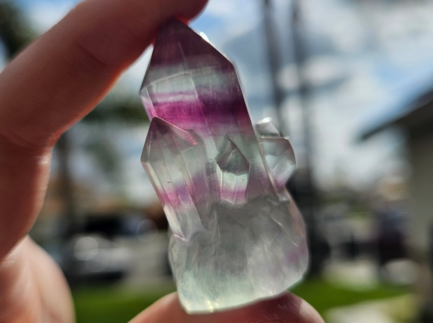 Candy Fluorite Cluster (1)