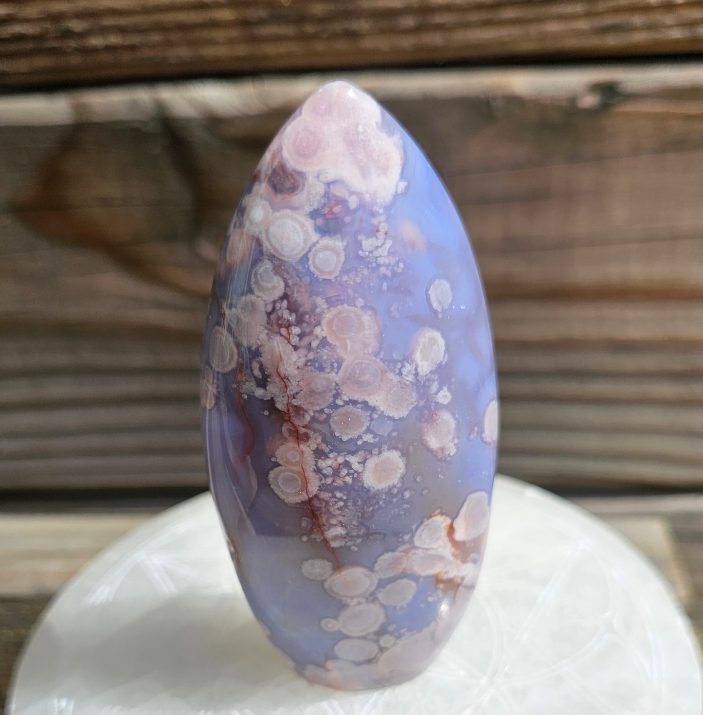 Blue Flower Agate Freeform *B
