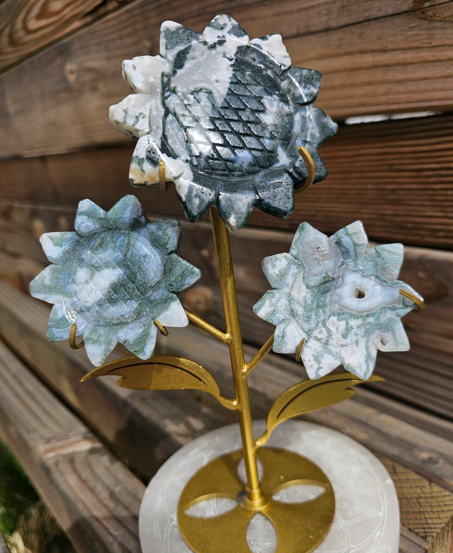 Moss Agate Sunflower's