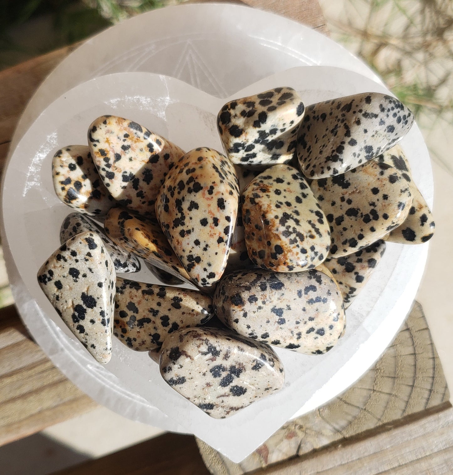 Dalmatian Jasper Tumbled Stone