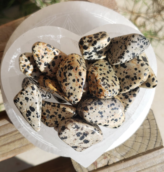 Dalmatian Jasper Tumbled Stone