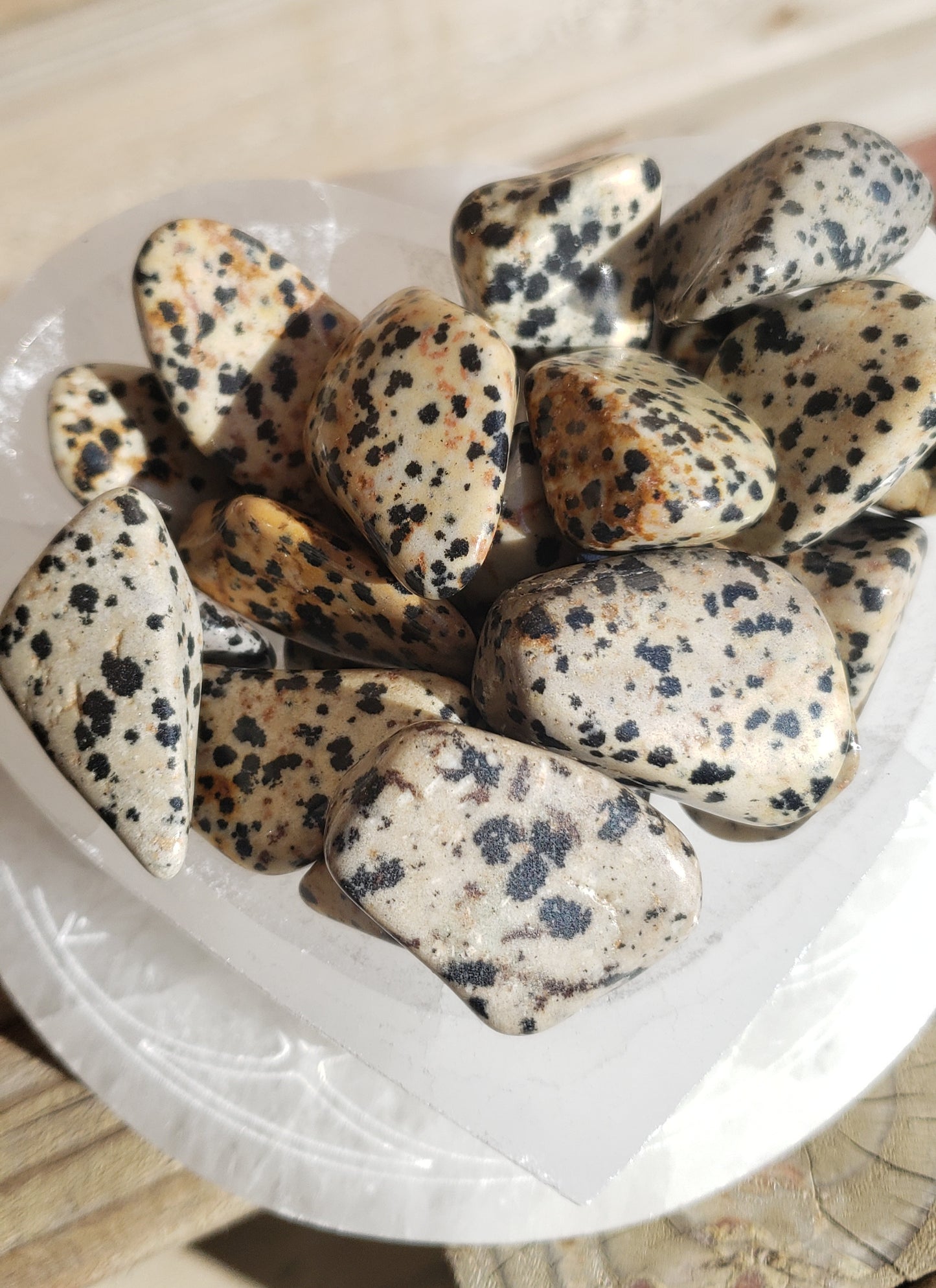 Dalmatian Jasper Tumbled Stone