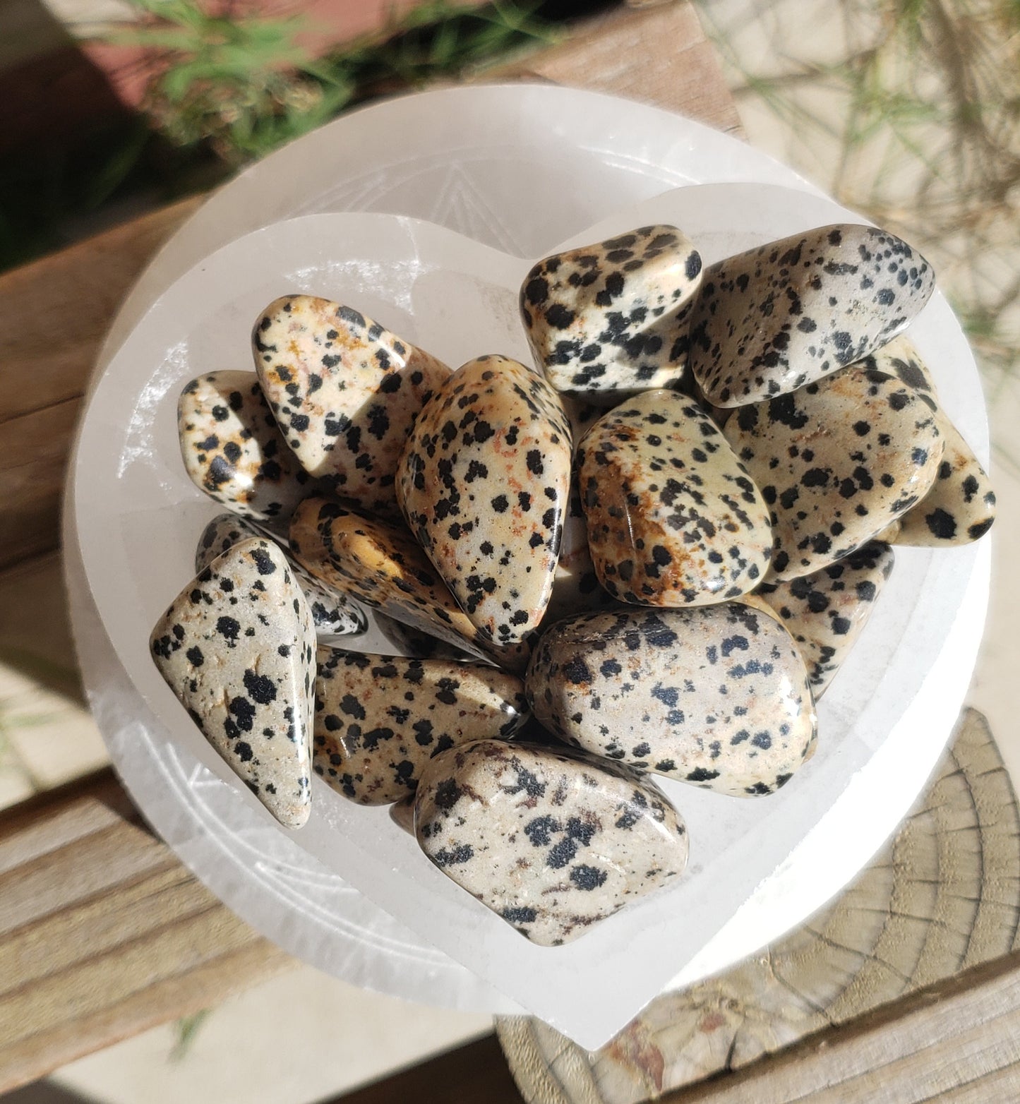 Dalmatian Jasper Tumbled Stone