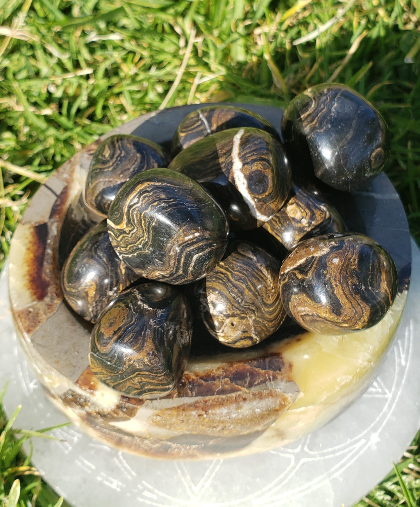 Stromatolite Tumbled Stone