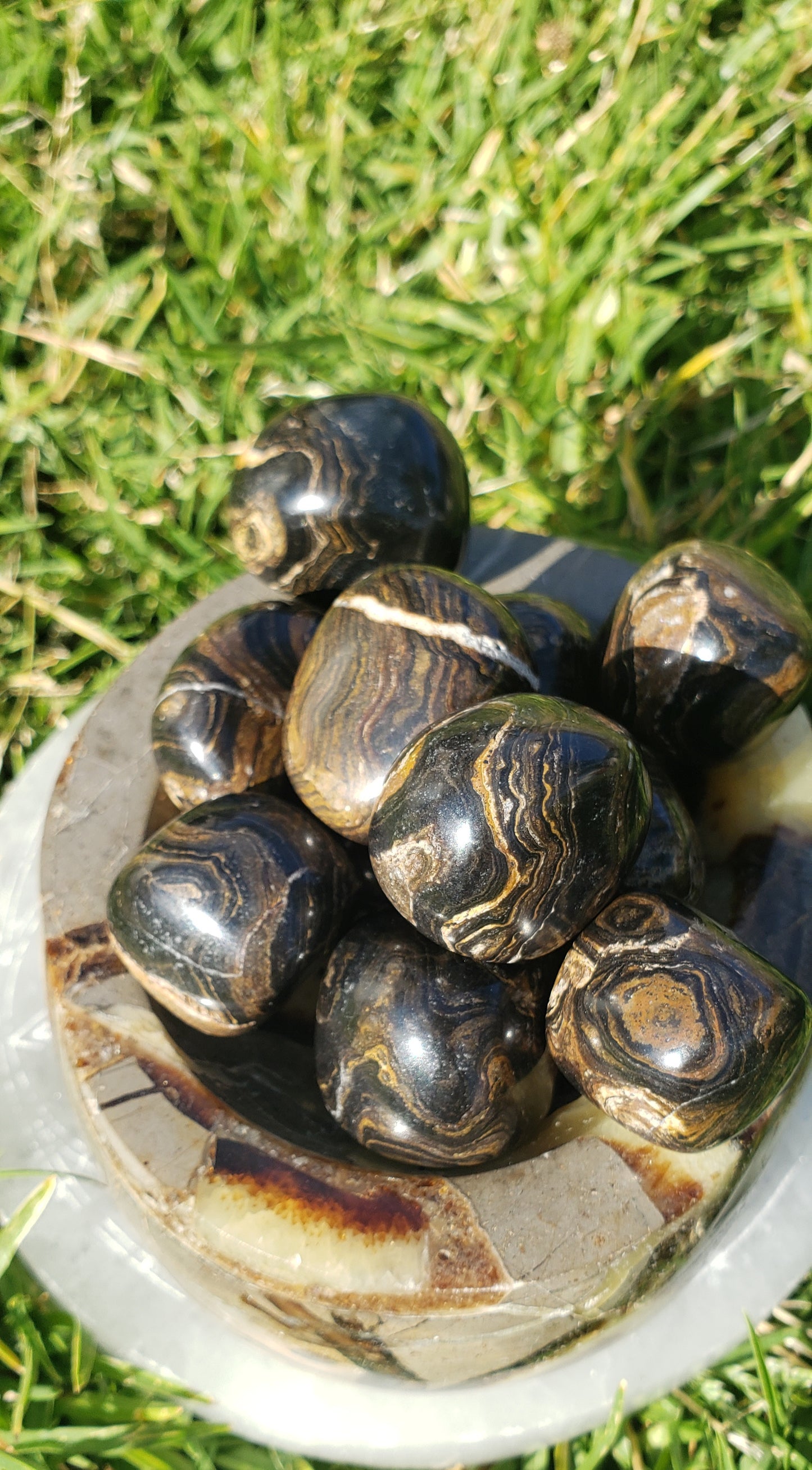 Stromatolite Tumbled Stone