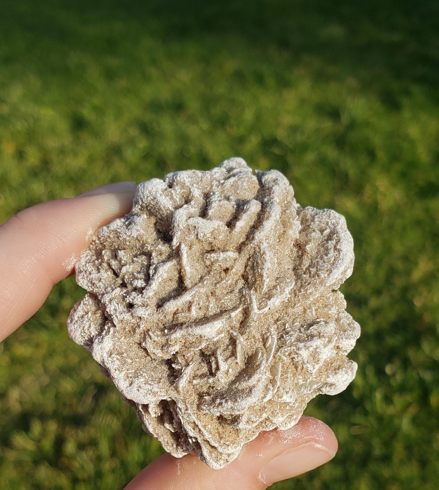 Desert Rose Selenite (1)