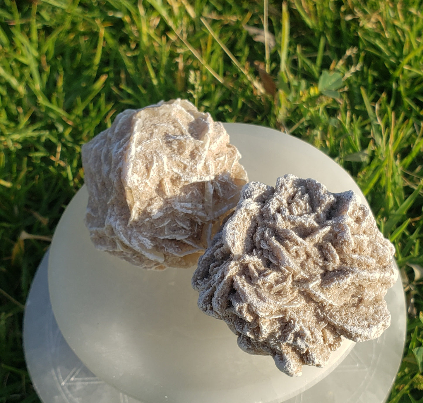 Desert Rose Selenite (1)