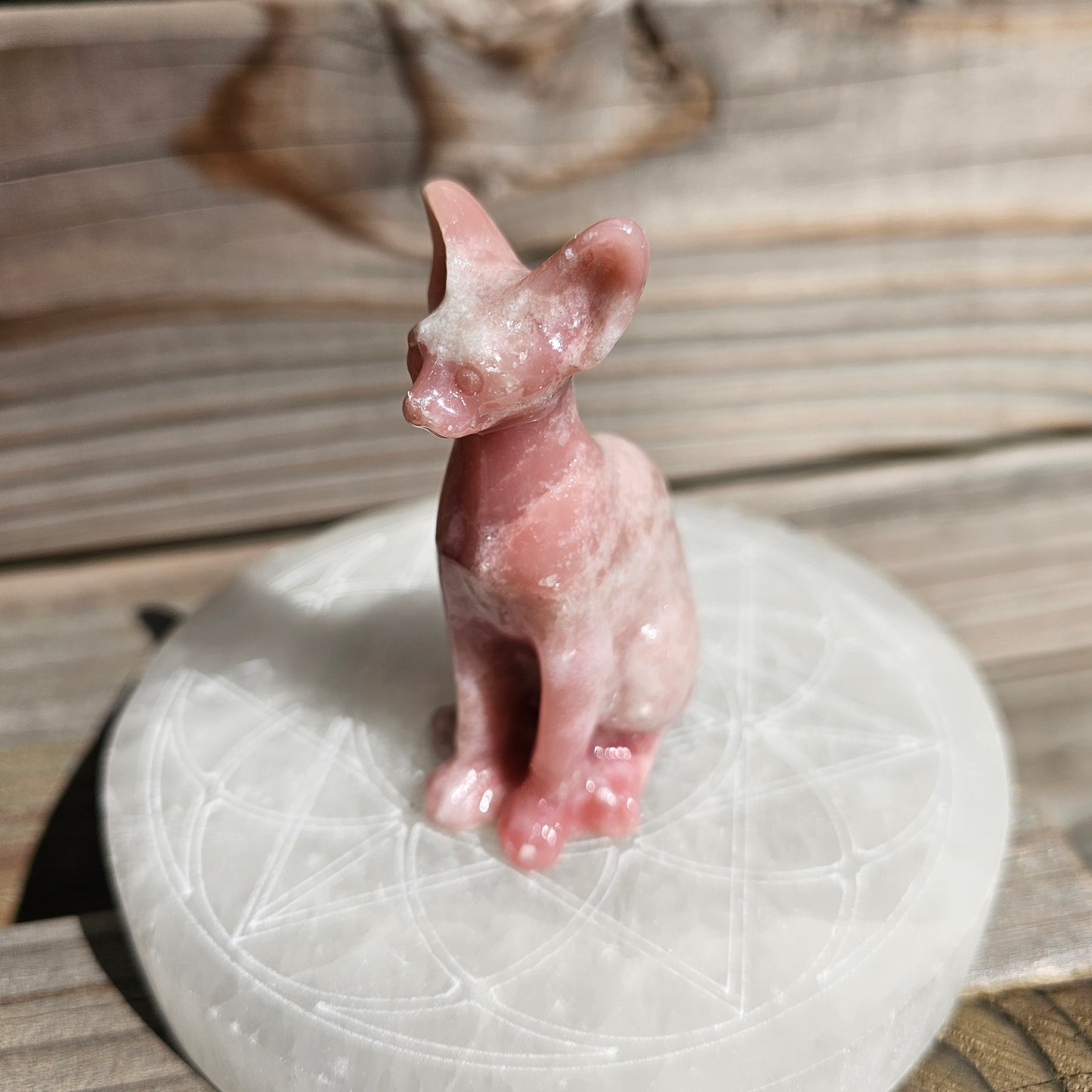 Pink Opal Spynx Kitty