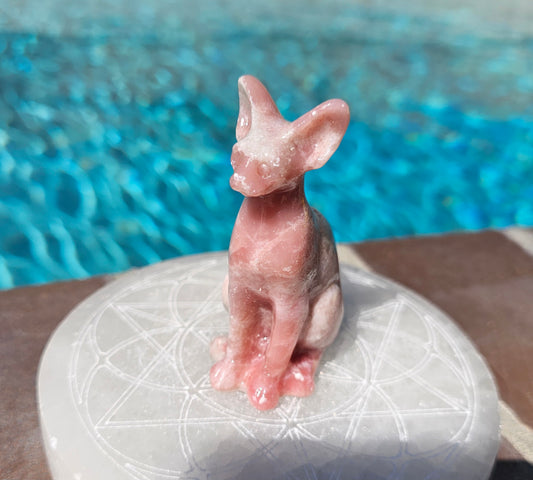 Pink Opal Spynx Kitty