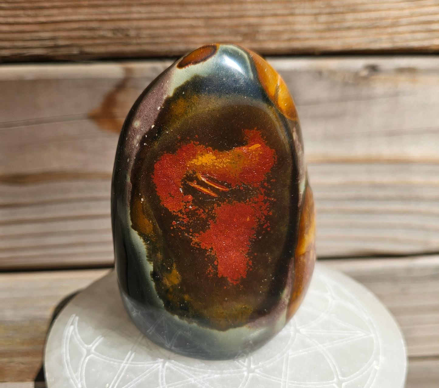 Polychrome Jasper Freeform