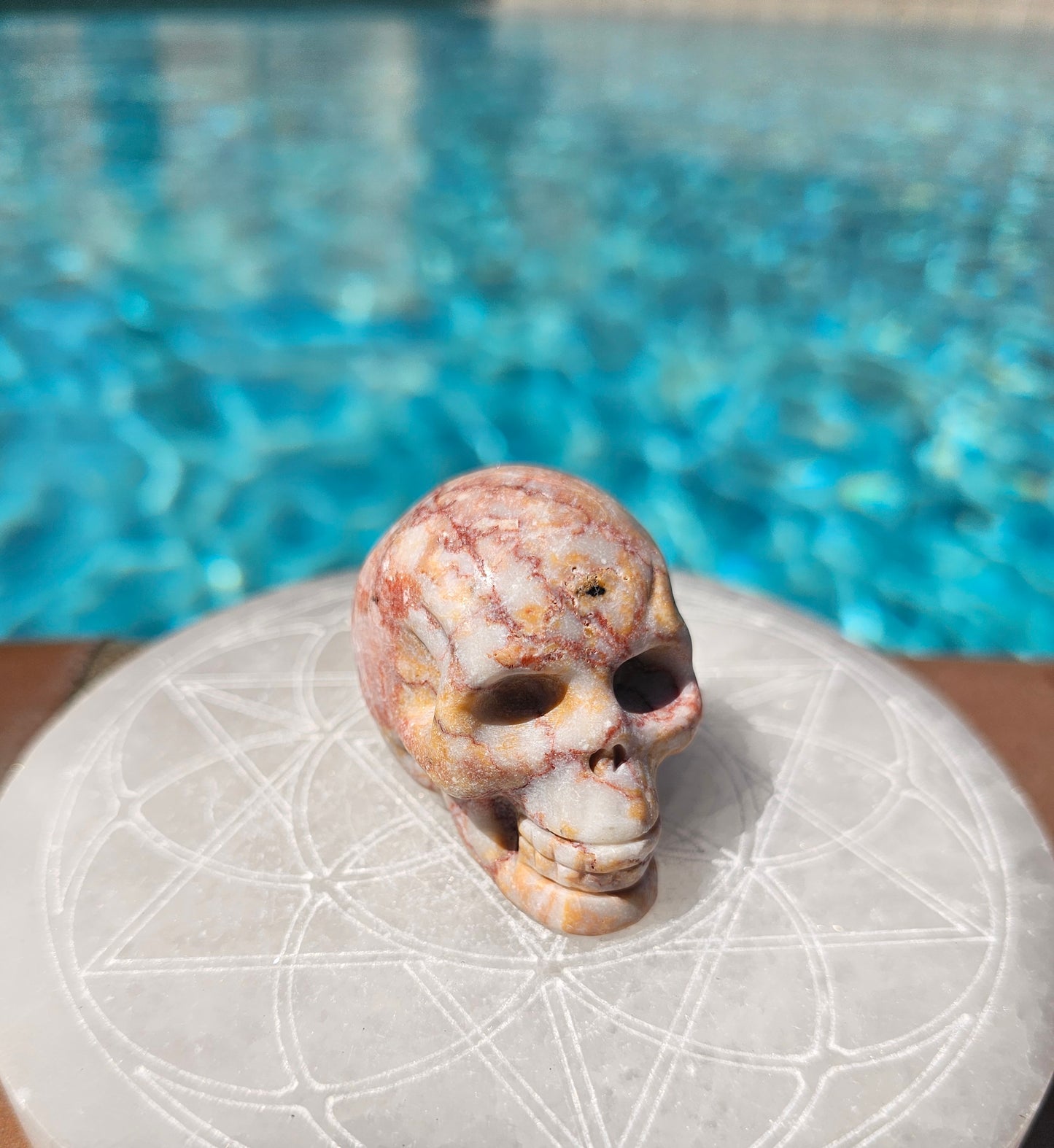 Crazy Lace Agate Skull