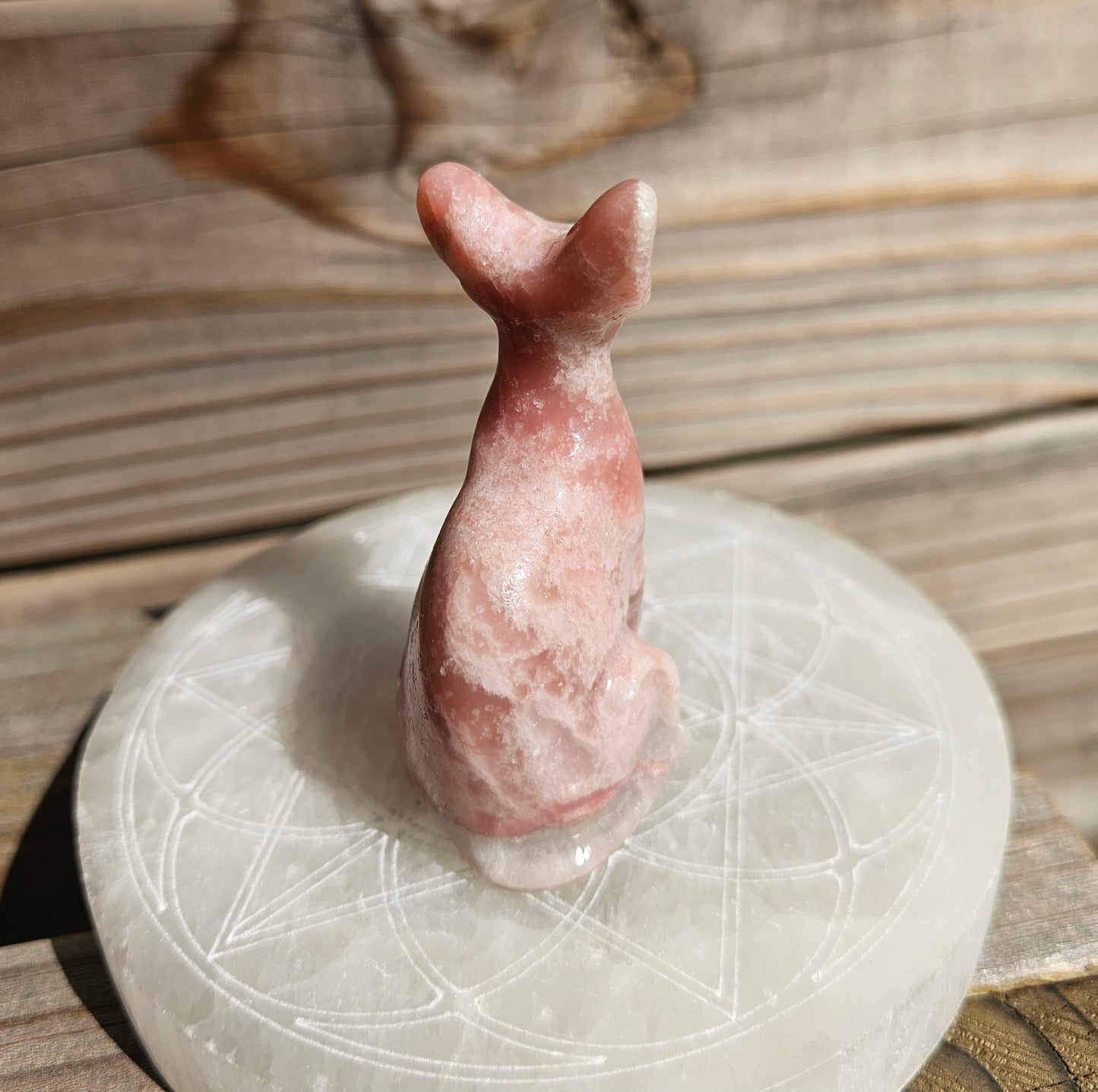 Pink Opal Spynx Kitty