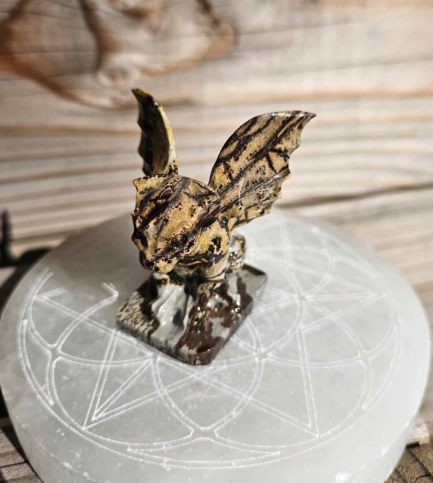 Picture Jasper Gargoyle