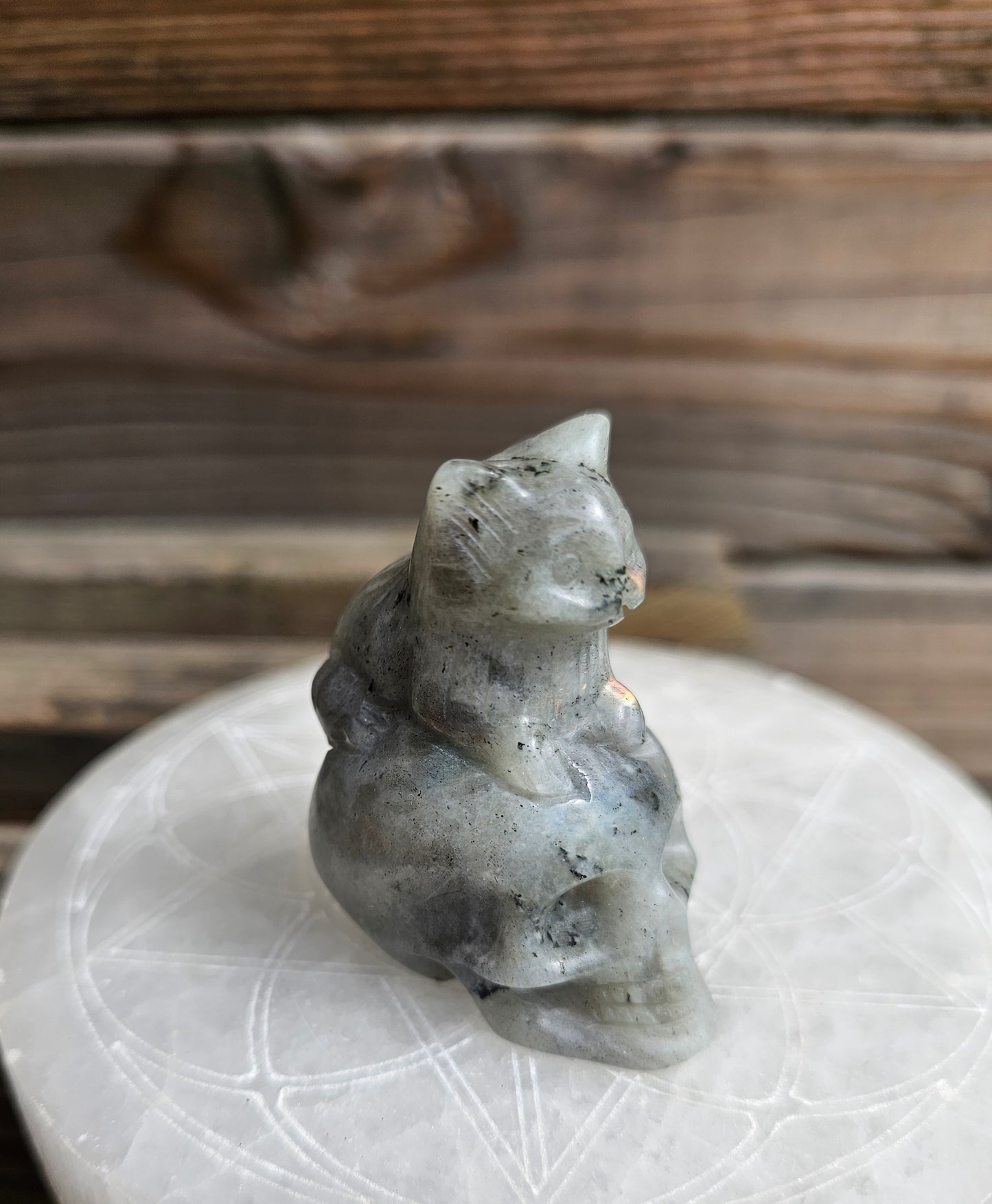 Labradorite Kitty Skull