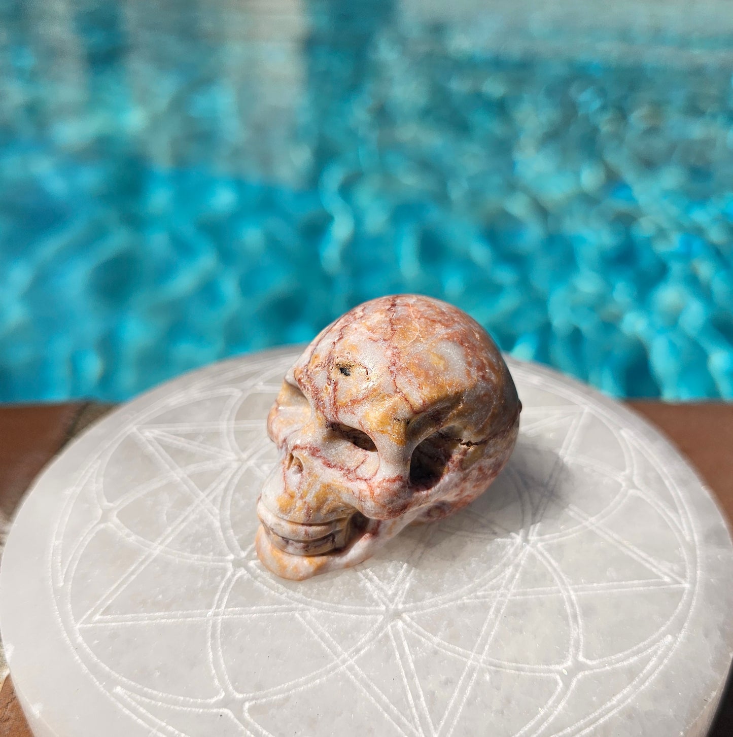 Crazy Lace Agate Skull