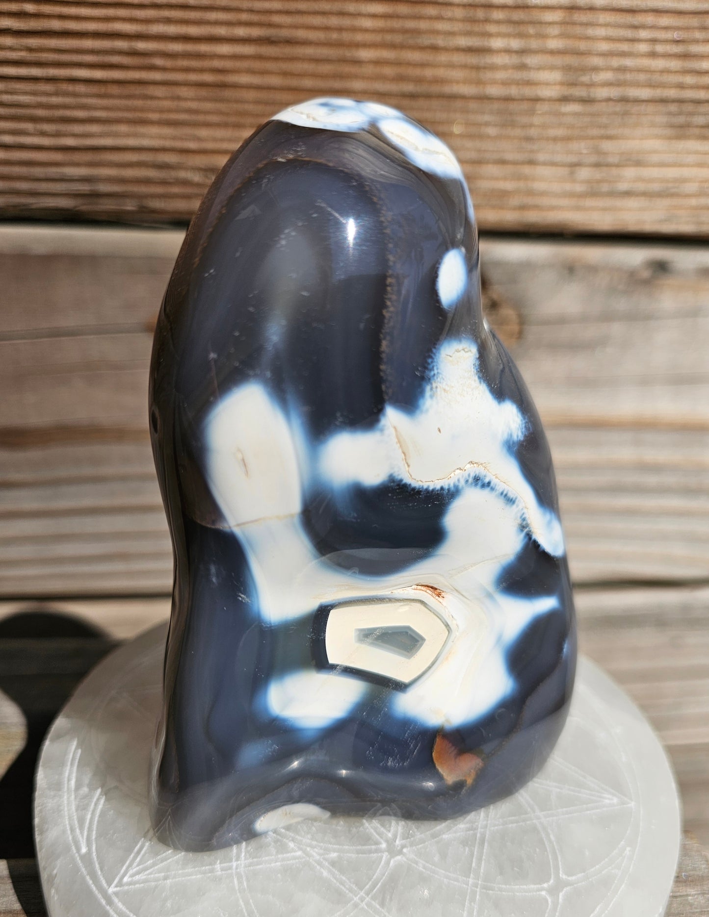 Orca Agate Freeform (A)