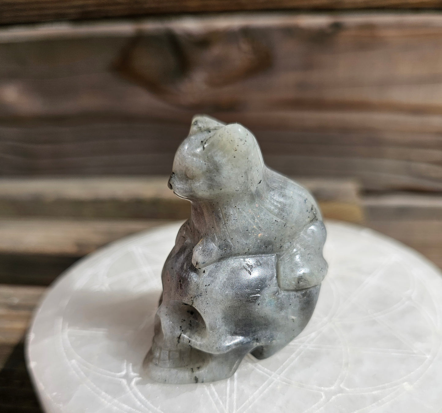 Labradorite Kitty Skull