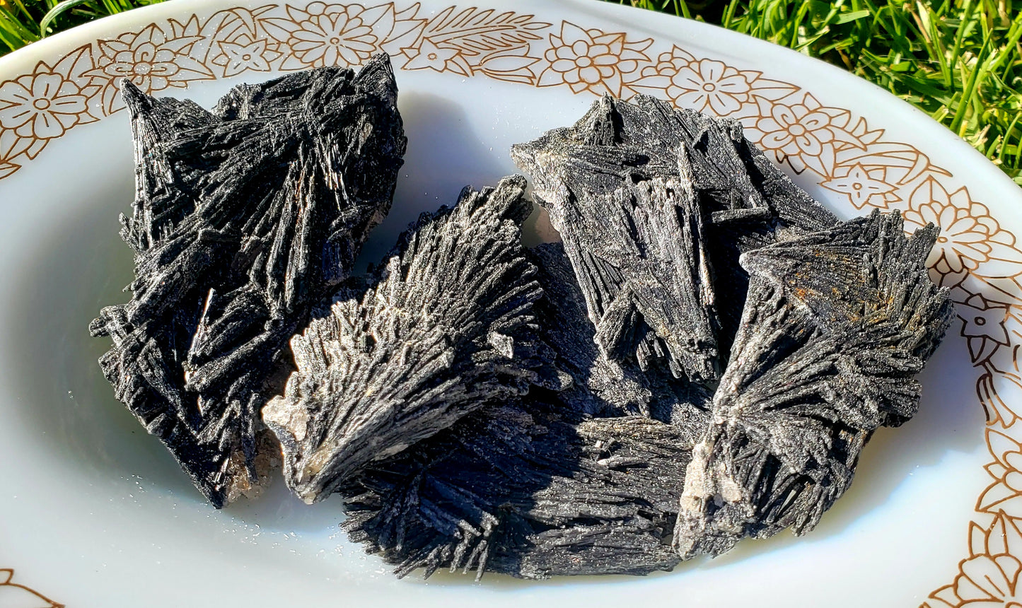 Raw Black Kyanite