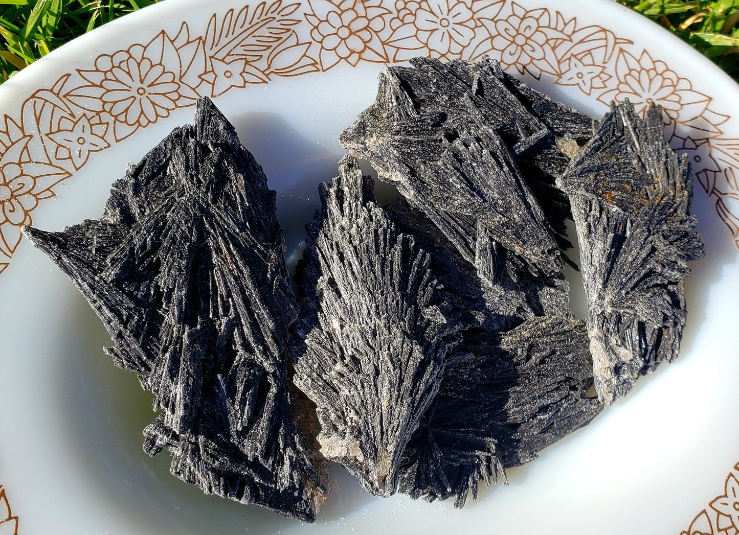 Raw Black Kyanite