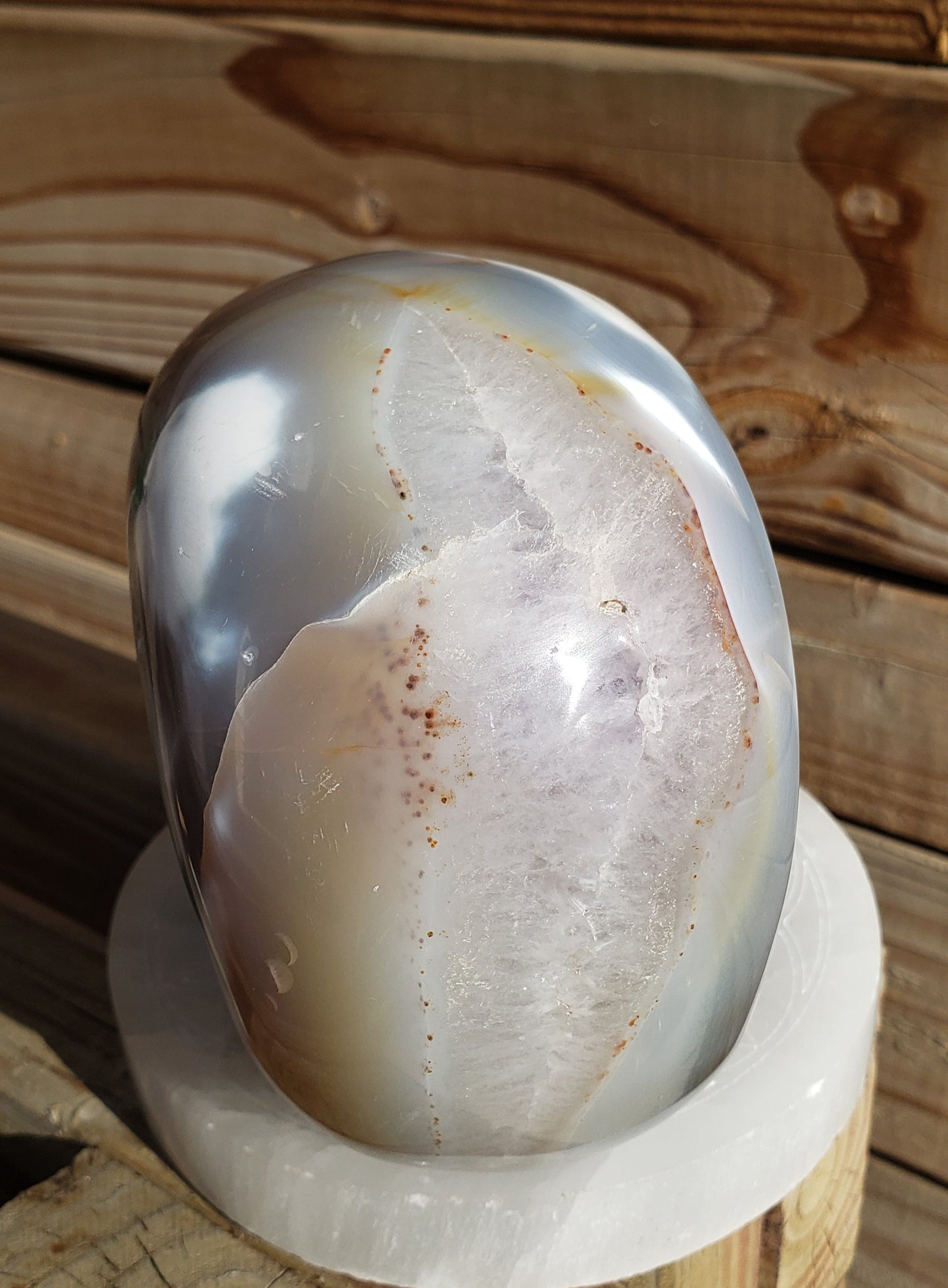 5lb Orca Agate Skull