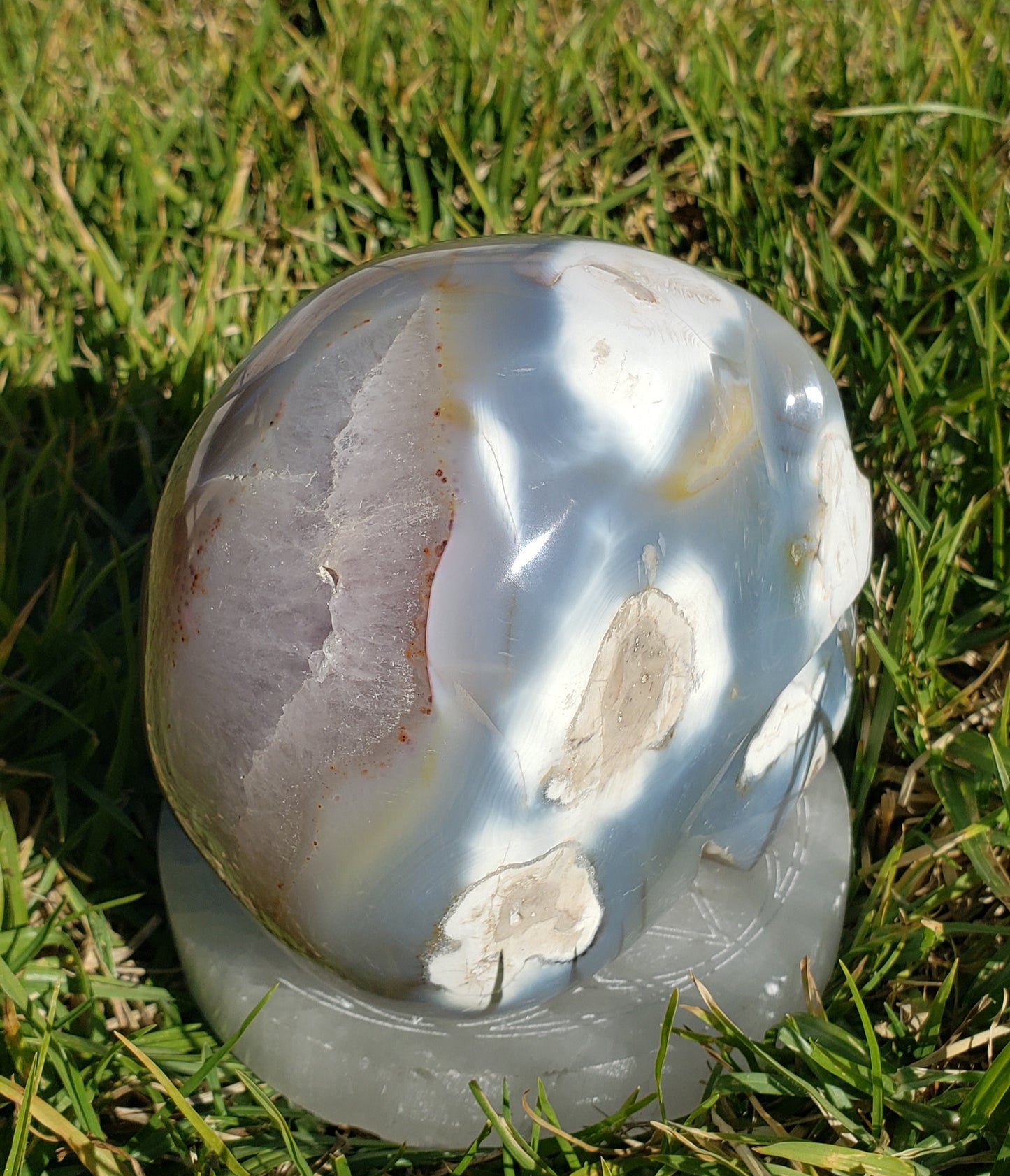 5lb Orca Agate Skull